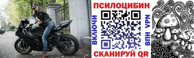 Псилоцибиновые грибы GOLDEN TEACHER ОМГ ОМГ как войти Калтан
